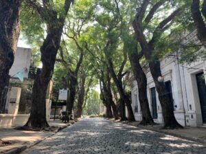 Mes del Turismo en San Isidro: habrá visitas guiadas especiales durante septiembre