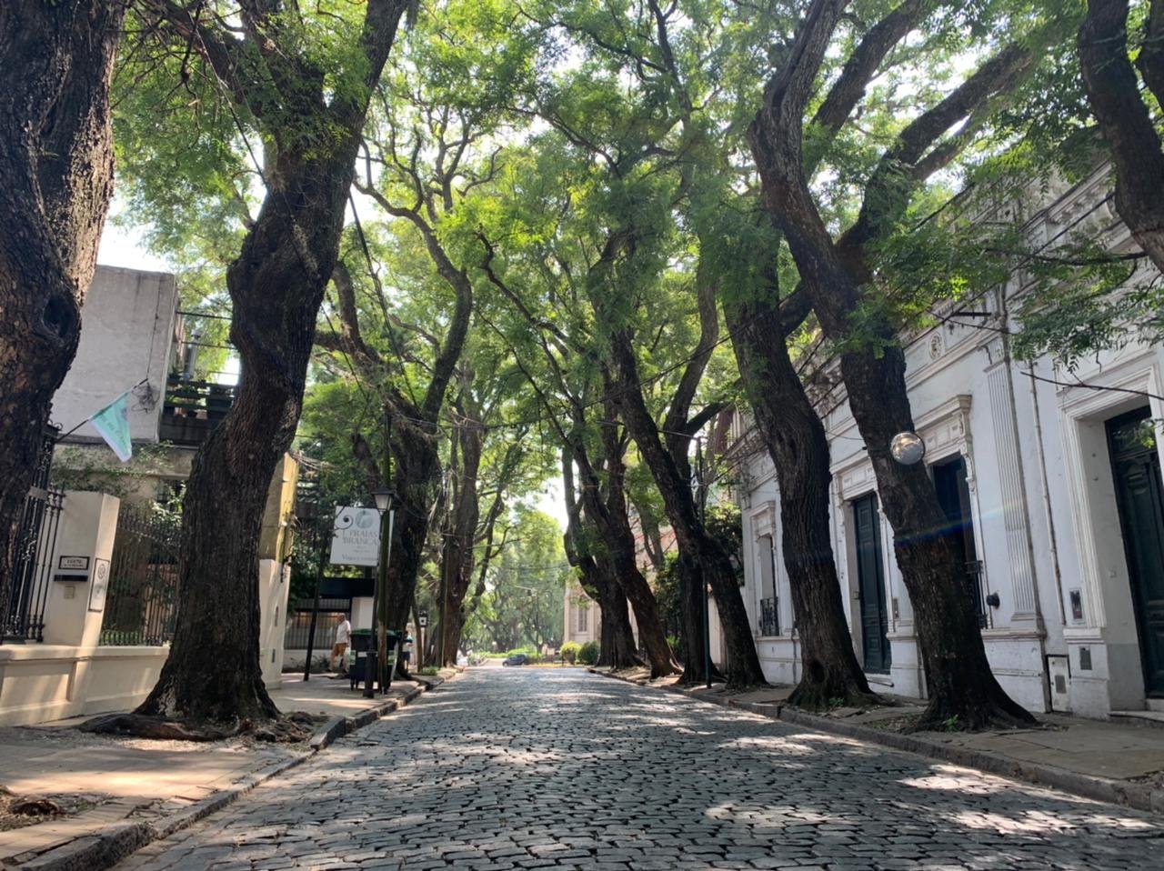 Mes del Turismo en San Isidro: habrá visitas guiadas especiales durante septiembre