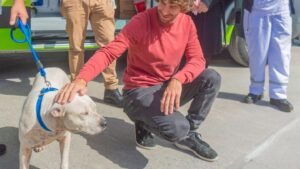 San Fernando prohibió los criaderos de mascotas y la venta de animales en comercios